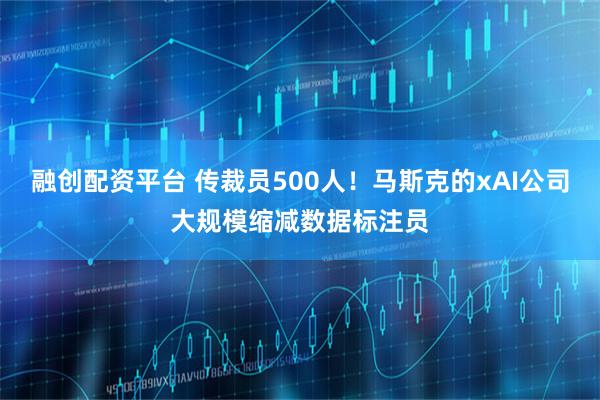 融创配资平台 传裁员500人！马斯克的xAI公司大规模缩减数据标注员