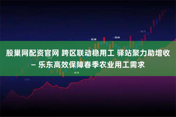 股巢网配资官网 跨区联动稳用工 驿站聚力助增收— 乐东高效保障春季农业用工需求
